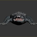 Crocodile Alligator Nile Crocodile carnivore reptile cold-blooded animal reptile reptile 3d model