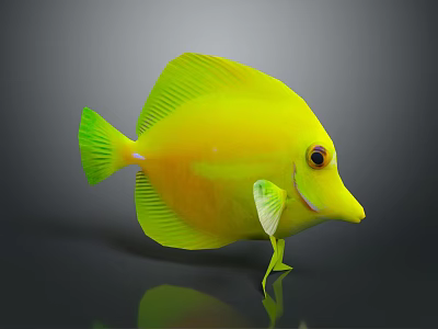 Vibrant Bright Yellow Tropical Fish With Green Fins And Distinctive Eyes On Dark Reflective Background 3d model