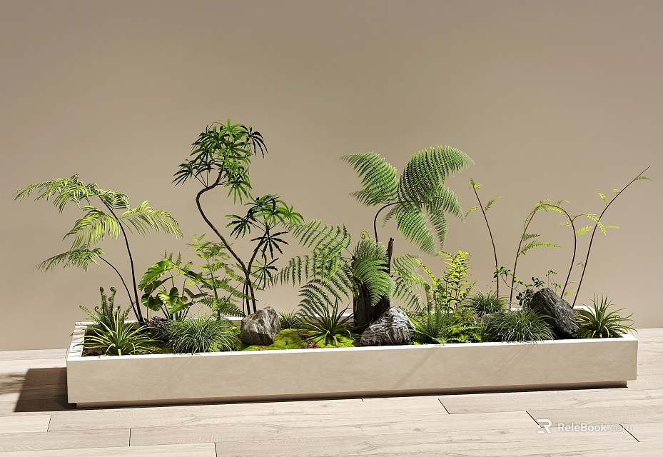 Diverse Plant Combination In Long White Planter Featuring Ferns Slender Plants Low Shrubs And Stones 3d model 