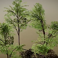 Lush Green Trees With Dense Foliage And Tree Trunks Casting Natural Shadows 3d model