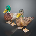 Colorful Ducks with Green Brown Heads Yellow Beaks and Feathered Bodies Standing on Dark Background with Reflection
