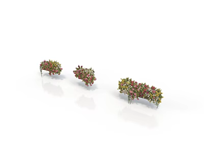 Three Different Shaped Plants With Red Green Leaves On White Background And Reflections 3d model