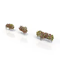 Three Different Shaped Plants With Red Green Leaves On White Background And Reflections