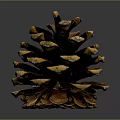 Natural Pine Cone Decorative Household Item For Home Living Room Decor