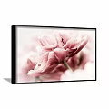 Framed Botanical Painting Of Pink Tulip With Soft Petals On Dark Wall