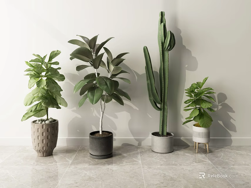 Various Indoor Potted Plants Of Different Sizes With Green Leaves And Stylish Pots 3d model 