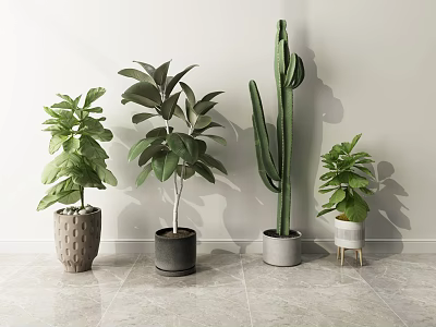 Various Indoor Potted Plants Of Different Sizes With Green Leaves And Stylish Pots 3d model