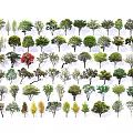 Modern Tree Landscape Arbor Street Tree Model Tree Sapium Cinnamomum beech Tree Hackle Tree 3d model