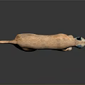 Decorative Animal Sculpture Brown Body With Blue Ears Glossy Surface And Reflection