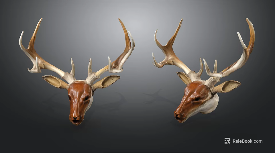 Two Brown And White Deer Head Mounts With Large Antlers As Wall Decor 3d model 