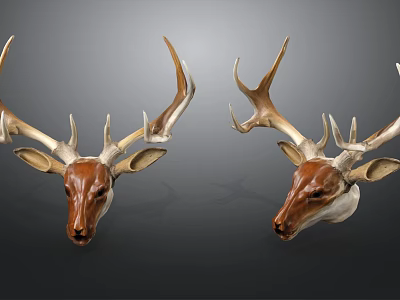Two Brown And White Deer Head Mounts With Large Antlers As Wall Decor 3d model