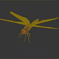 Red Dragonfly With Spread Transparent Wings On Dark Background Showing Natural Beauty