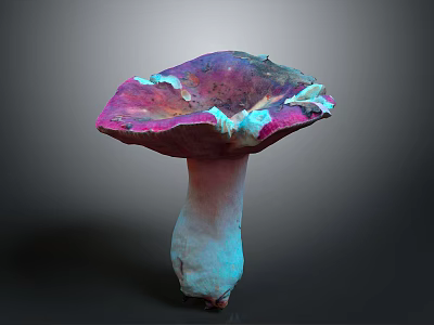 Biological Organ Structure With Natural Hair Features And Anatomical Details 3d model