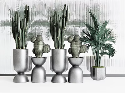 Stylish Bonsai Potted Plants with Cactus and Palm in Silver Pots 3d model