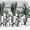 Stylish Bonsai Potted Plants with Cactus and Palm in Silver Pots