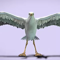 White Seagull with Open Wings Yellow Legs on Purple Background 3d model