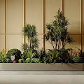 Indoor Decorative Plant Combination With Tall Trees Low Shrubs And Green Foliage