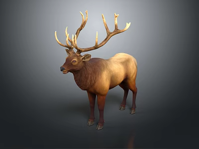Majestic Brown Elk With Large Antlers Standing On Gray Background In Studio 3d model