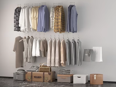 Various Styled And Colored Clothes Hanging On Wall With Storage Boxes And Paper Bags 3d model
