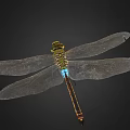 modern dragonfly 3d model