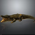Brown Textured Crocodile With Open Mouth On Dark Background With Reflection 3d model