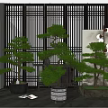 Elegant Indoor Bonsai Trees Display With Wooden Grille Background And Decorative Planters