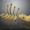 Anatomical Organ and Hair Sample Model in Light Yellow Tone with Dark Reflective Background