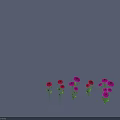 Beautiful Red and Purple Flowers with Green Stems and Leaves Arranged in a Row