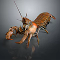 Detailed Realistic Lobster With Long Antennae And Claws On Dark Background