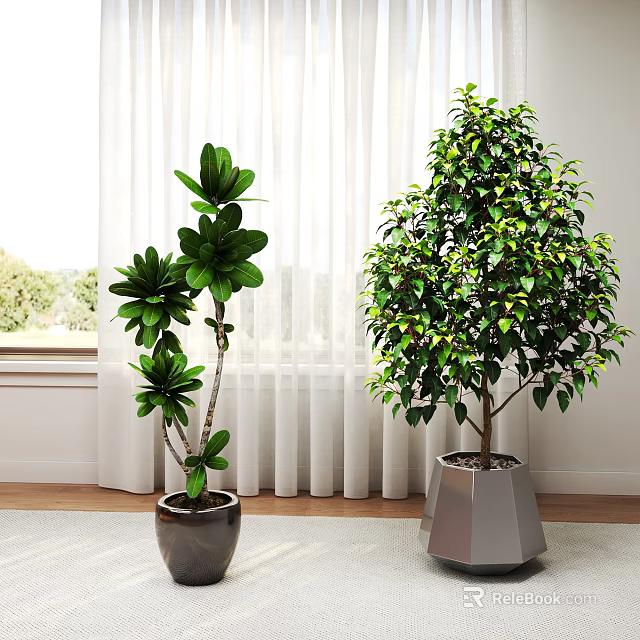 Indoor Window Side Decorative Potted Plants With Large Green Leaves And Lush Foliage 3d model 