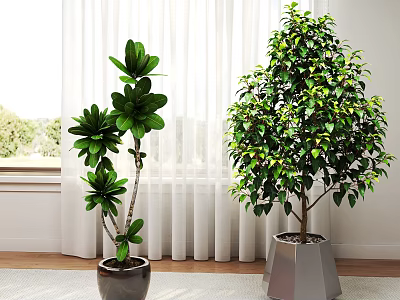 Indoor Window Side Decorative Potted Plants With Large Green Leaves And Lush Foliage 3d model