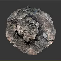 Natural Weathered Tree Stump Decorative Piece With Bark Texture And Earth Tones