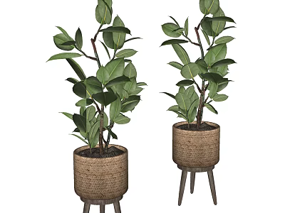 Lush Green Bonsai Potted Plants In Woven Pots On Three Legged Stands 3d model
