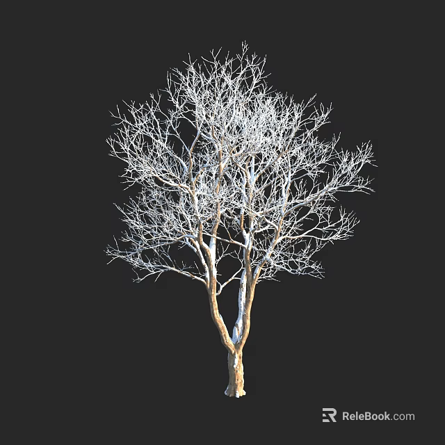Detailed Tall Leafless Arbor With Bare Branches Against Black Background 3d model 