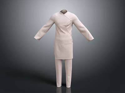 Light Colored Traditional Chinese Clothing With Stand Up Collar And Pants Set 3d model