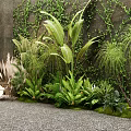 Lush Greenery With Ivy Covered Wall Leafy Plants Ferns And Pampas Grass On Gravel Ground