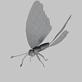 Game Movie Character Butterfly Featuring Intricate Wing Patterns And 3D Render Design 3d model