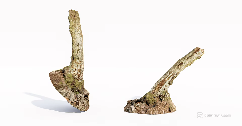 Natural Old Tree Trunks Featuring Moss Covered Roots And Soil Stones 3d model