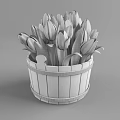Bonsai Potted Plant in Wooden Bucket with Yellow And White Tulips and Green Leaves