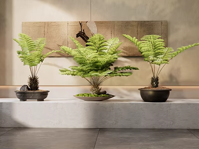 Fern Bonsai Plants Arranged on Stone Platform with Minimalist Wall and Decorative Art 3d model