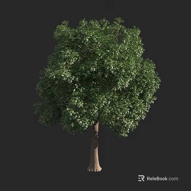 Tall Arbor With Lush Green Foliage And Sturdy Trunk In Natural Environment 3d model 