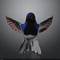Vibrant Hummingbird With Spread Wings And Colorful Blue Green Pink Feathers