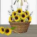 Beautiful Sunflowers and Roses Arrangement in Wicker Basket on Wooden Tabletop with White Wooden Wall