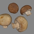 Modern Mushroom Shiitake 3d model