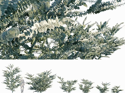 Green Arbor Trees with Lush Foliage and Various Growth Sizes 3d model