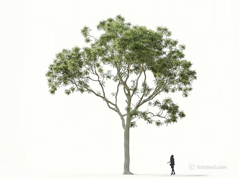 Tall Arbor With Lush Green Foliage And Silhouette Of A Person Walking Near 3d model 