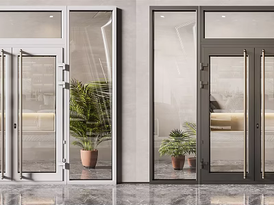 Modern Entrance Doors With Glass Panels And Metal Frames Beside Potted Plants 3d model
