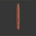Red Long Bodied Millipede With Numerous Legs On Dark Background 3d model