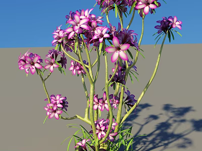 Vibrant Shrub With Purple And Pink Flowers Slender Stems Blue Sky Gray Ground 3d model