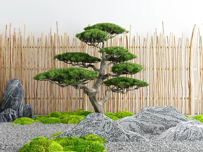 Japanese Style Courtyard Garden With Bonsai Pine Tree Bamboo Fence Rocks And Moss 3d model